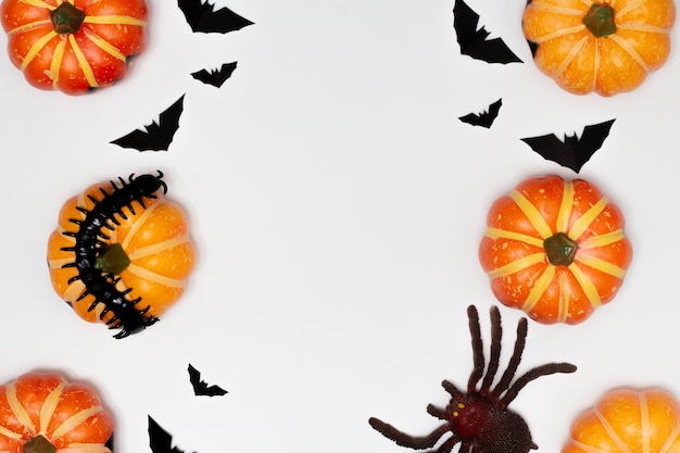 Concept d'Halloween Scary smile citrouille avec mille-pattes et araignée avec silhouette battant noir chauve-souris