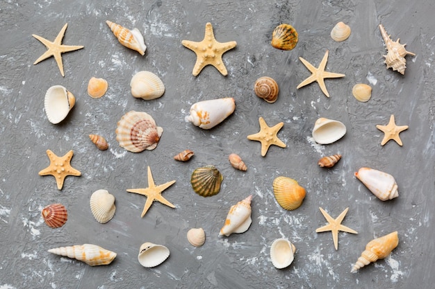 Concept de l'heure d'été Composition à plat avec de belles étoiles de mer et des coquillages sur la vue de dessus de table colorée