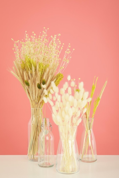 Concept Hygge fleurs séchées sur fond rose