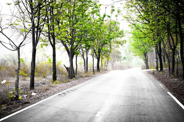 Photo concept d'image le chemin à parcourir sera long commencer par le premier pas