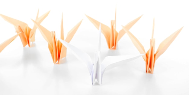 Photo concept d'individualité oiseaux origami sur fond clair