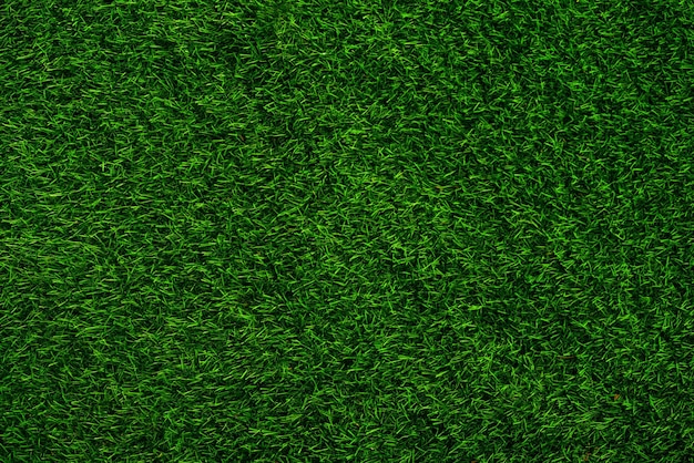 Concept de jardin d'herbe de fond de texture d'herbe verte utilisé pour faire le terrain de football de fond vert