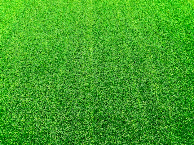 Concept de jardin d'herbe de fond de texture d'herbe verte utilisé pour faire le terrain de football de fond vert