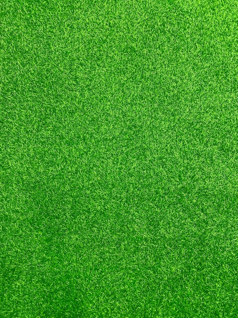 Concept de jardin d'herbe de fond de texture d'herbe verte utilisé pour faire le terrain de football de fond vert