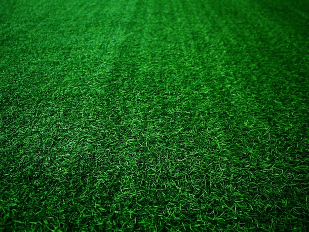 Concept de jardin d'herbe de fond de texture d'herbe verte utilisé pour faire le terrain de football de fond vert