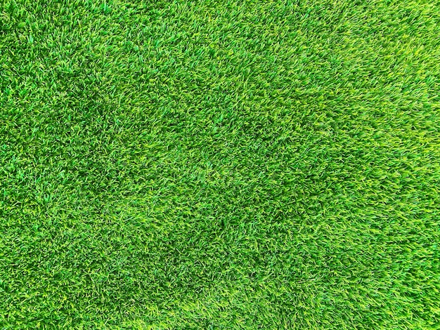 Concept de jardin d'herbe de fond de texture d'herbe verte utilisé pour faire le terrain de football de fond vert