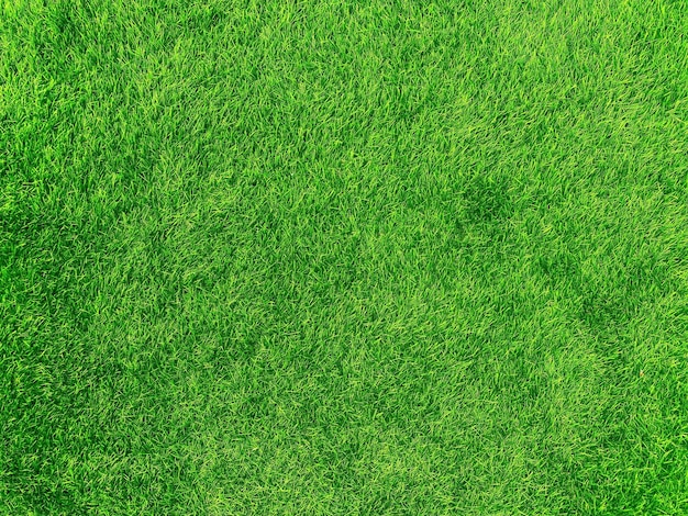 Concept de jardin d'herbe de fond de texture d'herbe verte utilisé pour faire le terrain de football de fond vert