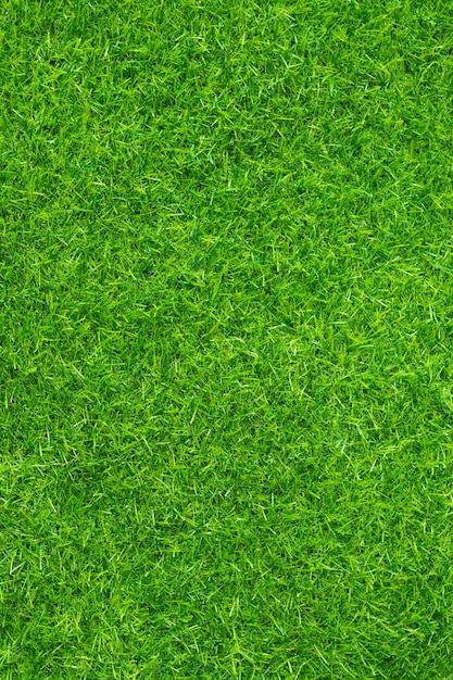 Concept de jardin d'herbe de fond de texture d'herbe verte utilisé pour faire le terrain de football de fond vert