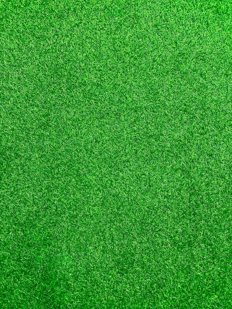 Concept de jardin d'herbe de fond de texture d'herbe verte utilisé pour faire le terrain de football de fond vert