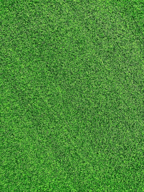 Concept de jardin d'herbe de fond de texture d'herbe verte utilisé pour faire le terrain de football de fond vert