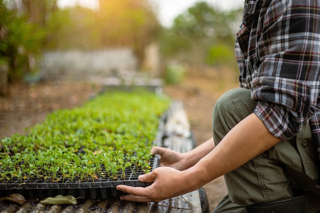 Concept de jardinage un agriculteur apportant des semis dans des pots de pépinière se préparant à pousser dans les parcelles de sol.