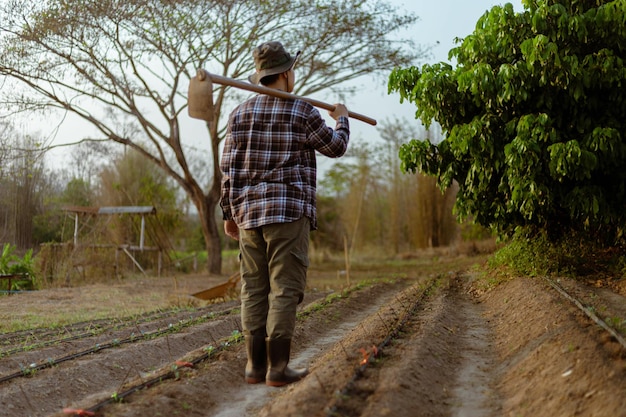 Concept de jardinage un agriculteur mâle portant une houe sur son épaule laissant un jardin