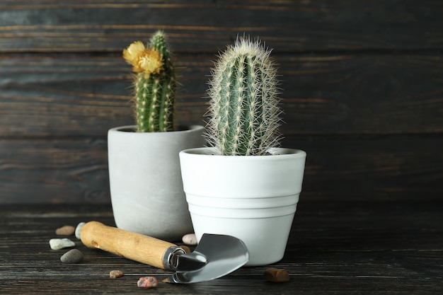 Concept de jardinage sur fond de bois rustique