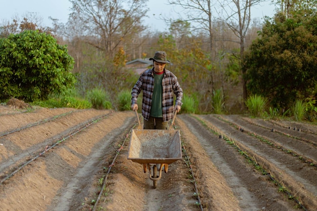 Concept de jardinage un jeune agriculteur poussant un chariot de jardinage parmi les parcelles de légumes