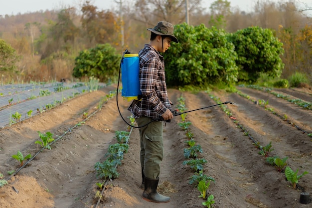 Concept de jardinage un jeune agriculteur pulvérisant un pesticide chimique pour empêcher les cultures des parasites.