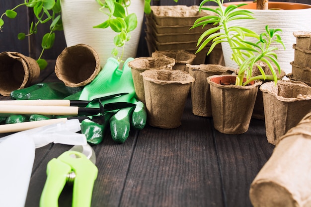 Concept de jardinage et de semis avec des pots, des outils, des gants et des plantes