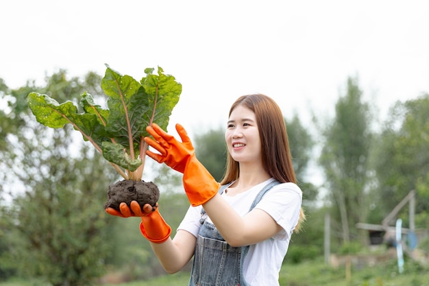 Concept de jardinière féminine : une greenskeeper féminine tenant la plante avec soin et vérifiant son apparence extérieure avant de l'envoyer à la vente.