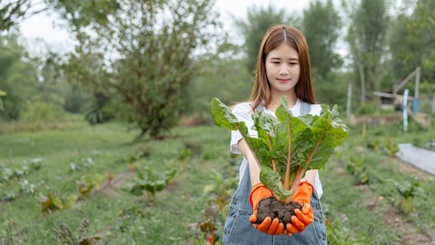 Concept de jardinière féminine une jardinière adolescente déracinant le gros légume avec le sol pendant la saison de récolte dans le potager.