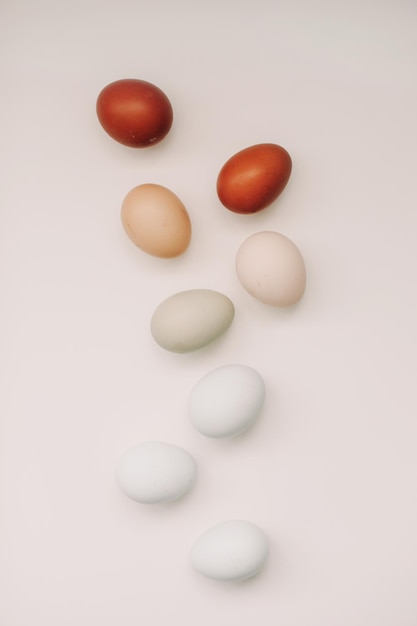 Concept de Joyeuses Pâques Oeufs de poule frais de nuances et de couleurs naturelles sur fond blanc