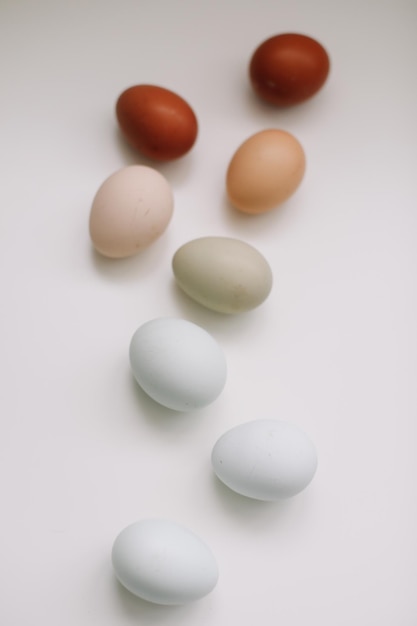 Concept de Joyeuses Pâques Oeufs de poule frais de nuances et de couleurs naturelles sur fond blanc