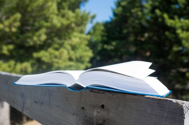 Le concept de lecture estivale dans la nature, loisirs avec un livre.