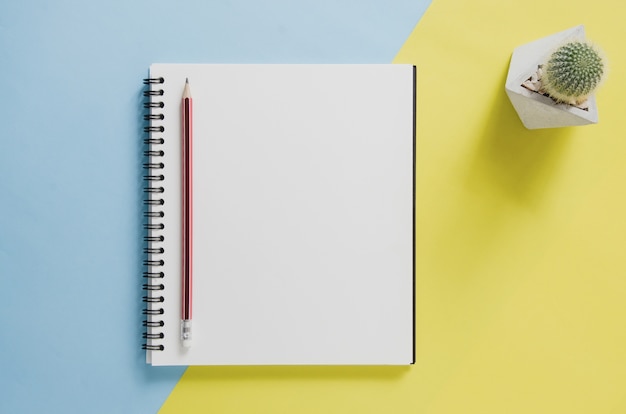 Concept minimal de bureau de travail. Cahier vierge, cactus, crayon sur fond jaune et bleu.