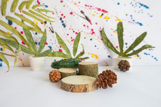Concept minimaliste affichant les produits. bois rond sur fond abstrait. fleur. feuilles séchées
