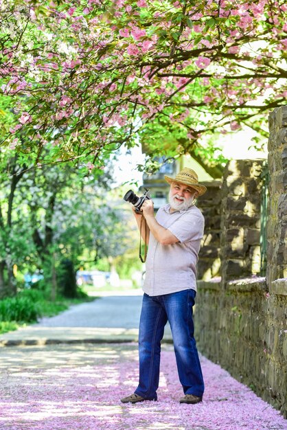 Concept naturaliste Vacances de printemps Profiter du temps libre Marcher dans sa rue préférée Voyage et tourisme Photographe dans le jardin Capturer la beauté du printemps Homme senior tenir l'appareil photo Floraison de sakura printanière