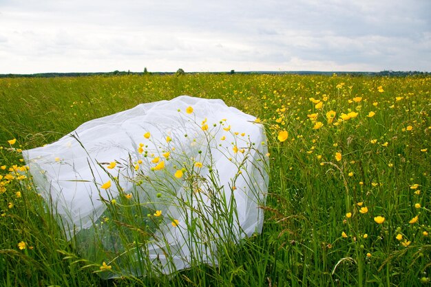 Concept nature beauté du jour du mariage au milieu du champ il y a une femme étonnante vêtue d'une robe de mariée blanche qu'elle tourne autour d'elle-même et les paillettes brillent à la lumière du soleil