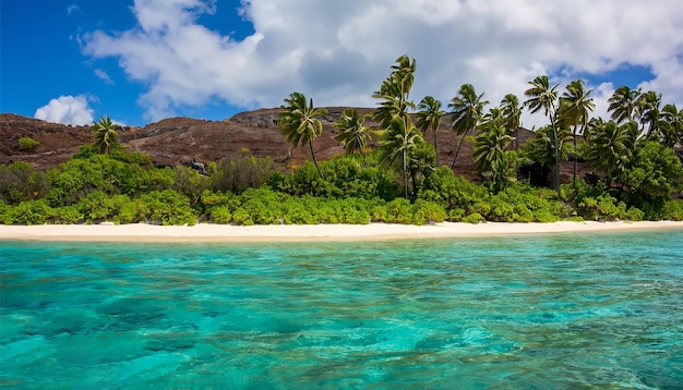 Concept de nature de plage Plage de palmiers sur fond d'île paradisiaque tropicale idyllique