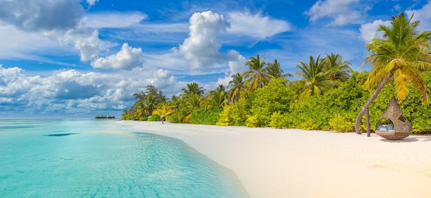 Concept nature plage. Plage de palmiers sur une île paradisiaque tropicale idyllique. Vacances au paysage exotique