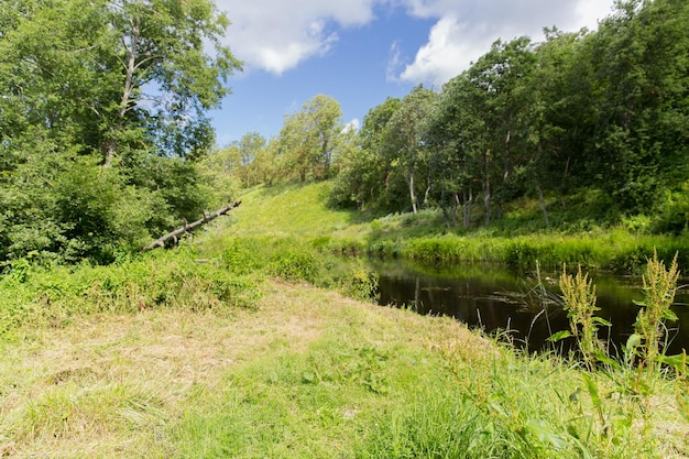 concept nature, saison et environnement - forêt d'été et rivière