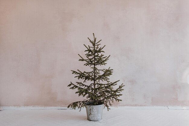Concept de Noël minimaliste esthétique Sapin épicéa dans un seau vintage contre un mur rose poussiéreux neutre