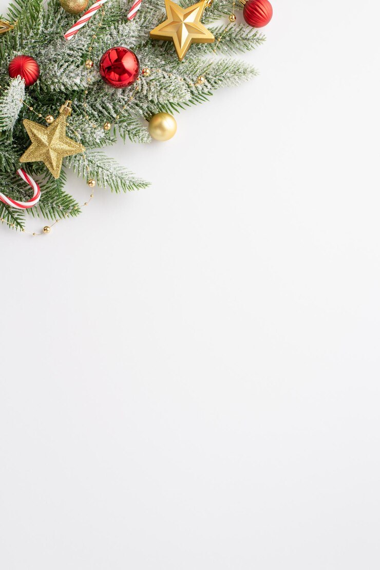 Concept de Noël Vue de dessus photo verticale de branche de pin dans le givre décorée de boules rouges ornements d'étoiles d'or et de cannes de bonbon sur fond blanc isolé avec fond