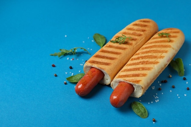 Concept de nourriture savoureuse avec hot-dog français