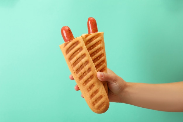 Concept de nourriture savoureuse avec hot-dog français