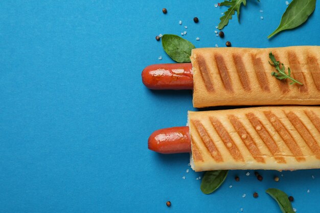 Concept de nourriture savoureuse avec hot-dog français