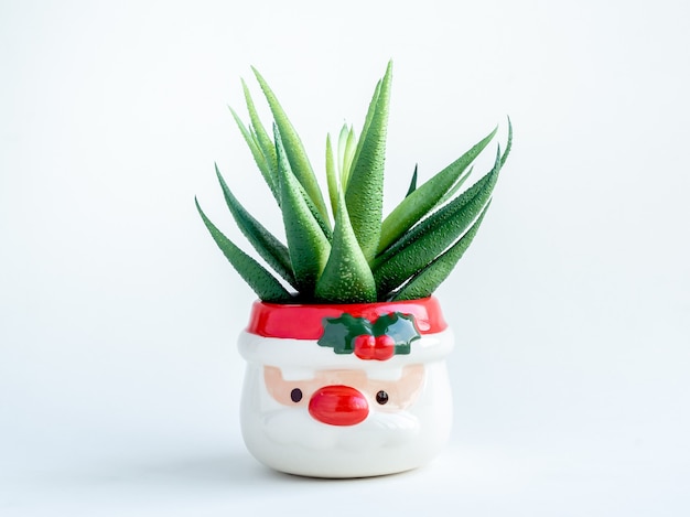 Concept d'objet de Noël, plante succulente verte en pot de plante en forme de père Noël mignon isolé sur blanc.