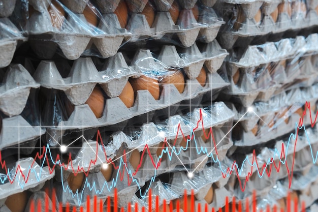 Concept de l'œuf inflation et augmentation des prix des denrées alimentaires La crise alimentaire