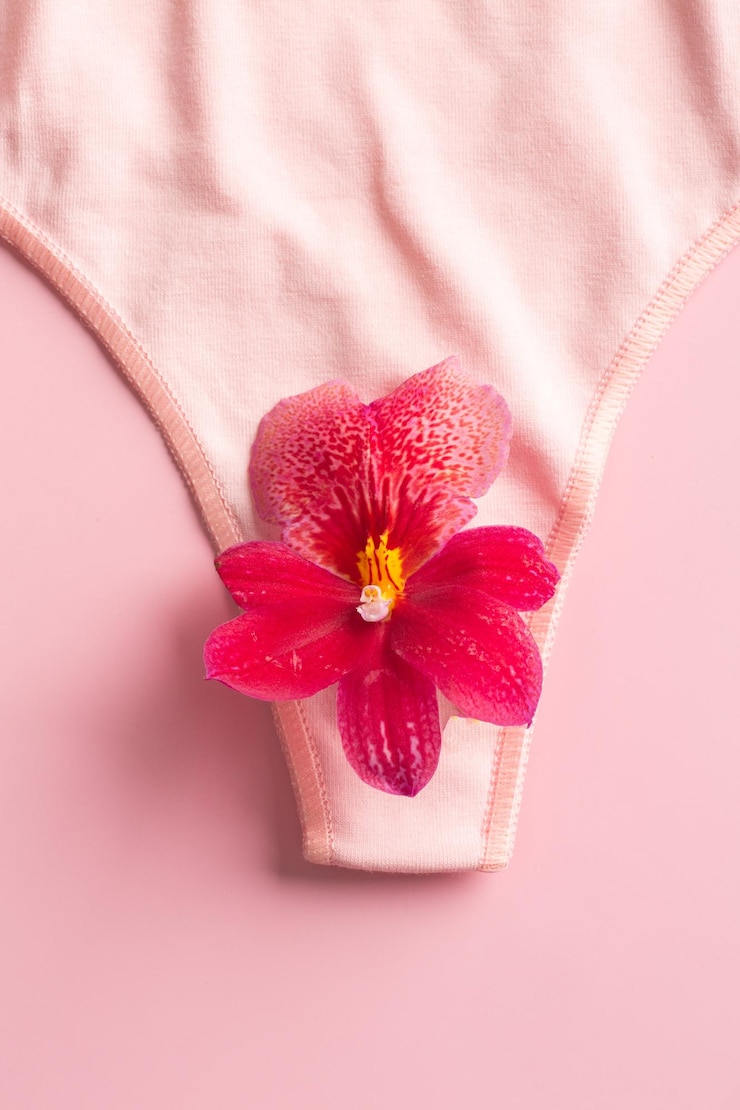 Photo le concept des organes reproducteurs d'une femme le vagin sous forme de culotte