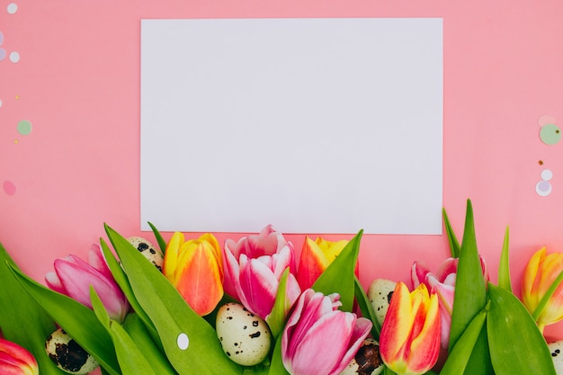 Concept de Pâques, blanc vierge et confettis, tulipes multicolores, oeufs de caille sur fond rose