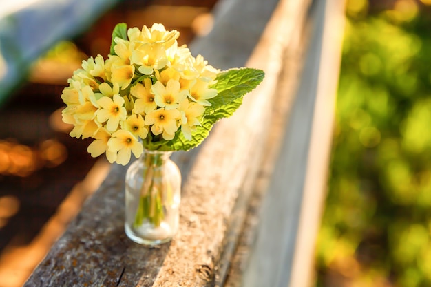 Concept de Pâques. Bouquet de primevère primevère avec des fleurs jaunes dans un vase en verre sous un soleil doux et une toile de fond floue. Inspiration florale naturelle au printemps ou en été. Copiez l'espace.