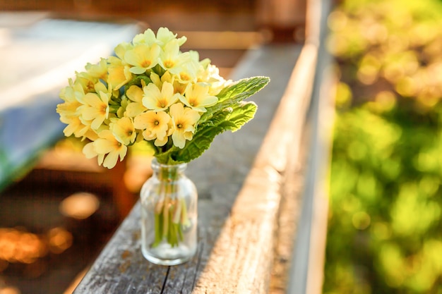 Concept de Pâques. Bouquet de primevère Primula avec des fleurs jaunes dans un vase en verre sous la douce lumière du soleil