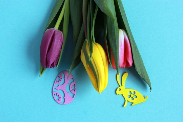 Concept de Pâques - fleurs printanières, oeufs et lapins sur fond coloré