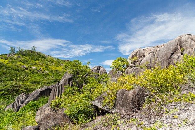 concept de paysage et de nature - pierres et végétation sur l'île des Seychelles