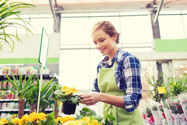 concept de personnes, de jardinage et de profession - femme heureuse ou jardinier tenant des fleurs en serre