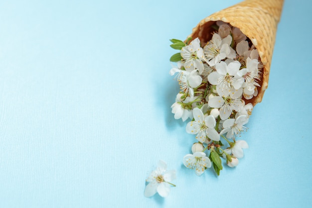 Concept de printemps. Fond floral. Cornet de crème glacée à fleurs blanches sur fond bleu. Espace pour le texte