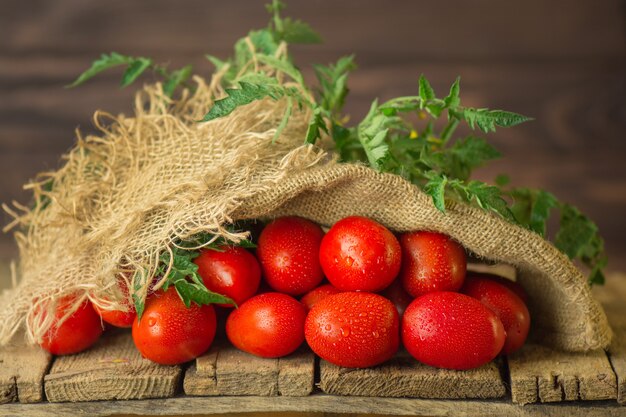 Concept De Produit Naturel. Tomates Italiennes Fraîches Dans Un Sac En Toile De Jute.