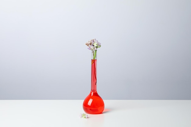 Concept de recherche en biologie et chimie avec des fleurs