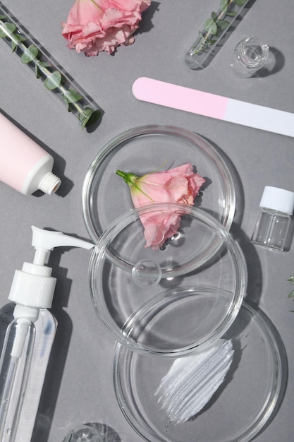 Concept de recherche cosmétique et produits de soins de la peau biologiques vue de dessus